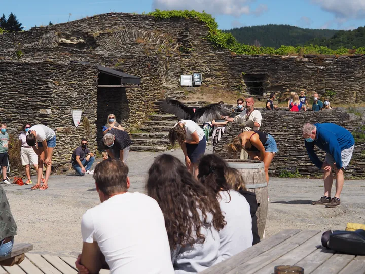 Roofvogelshow in Château de La Roche-en-Ardenne (België)